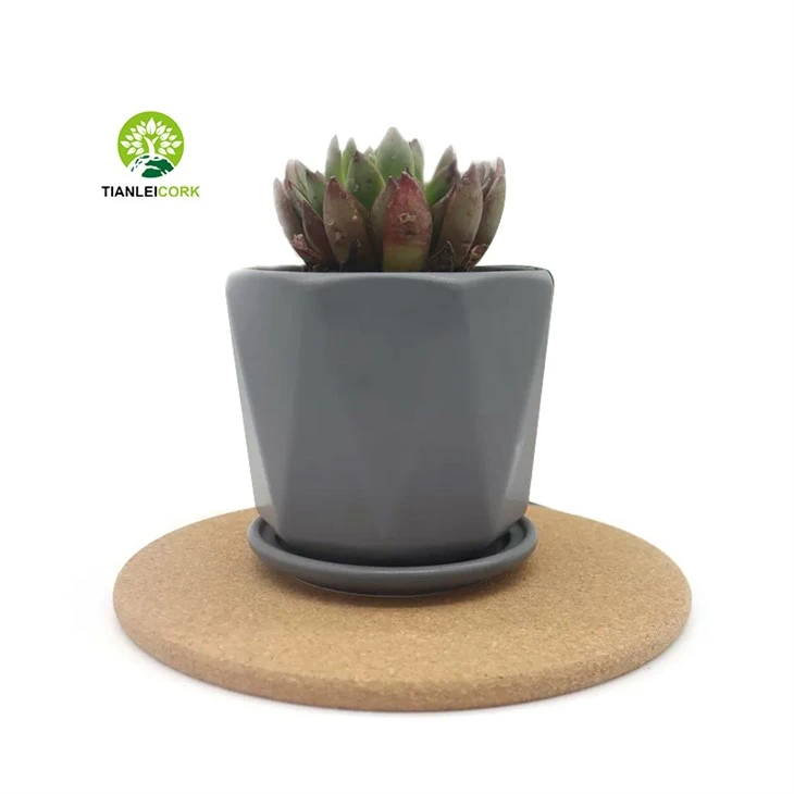 Modern Cork Placemats
